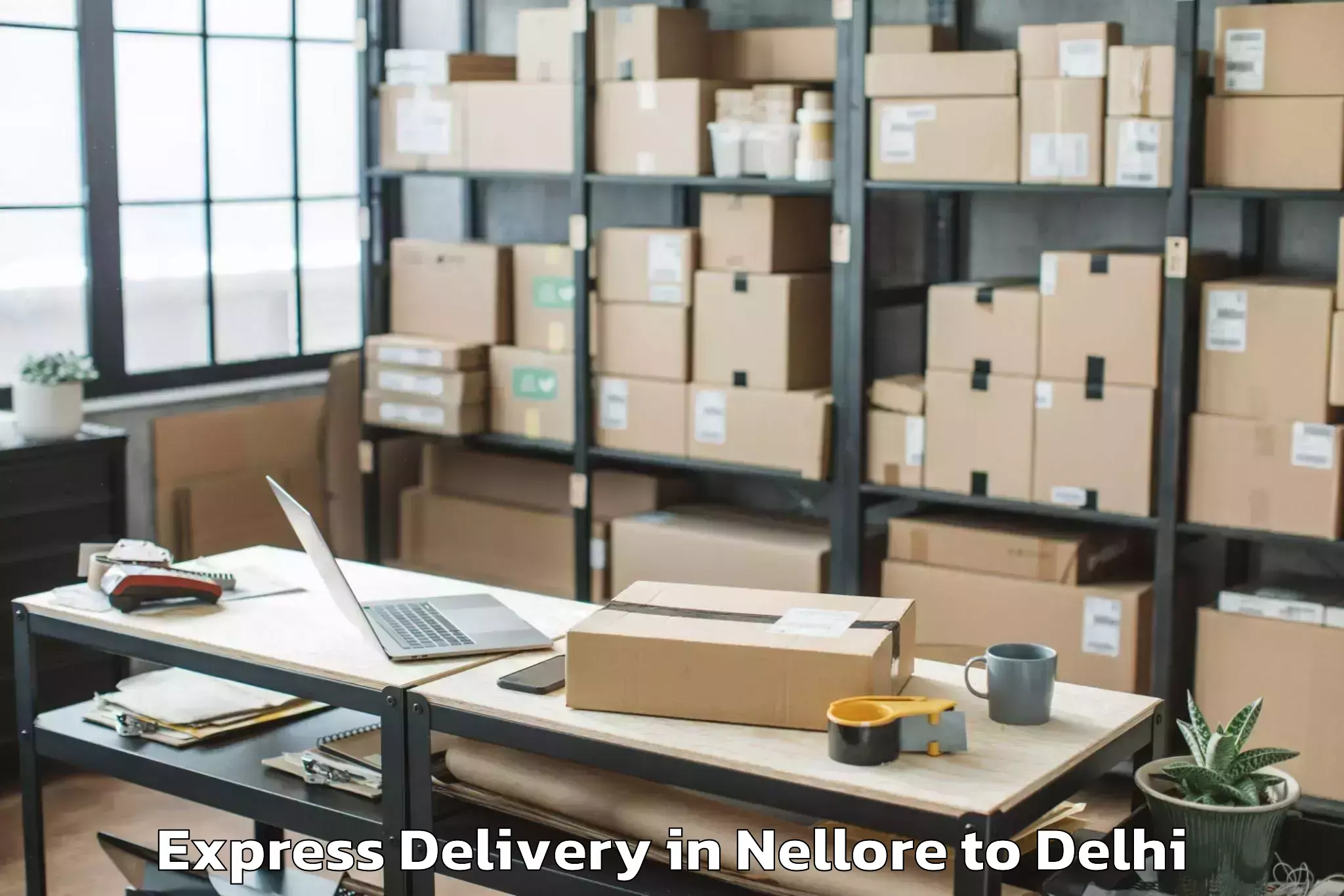 Professional Nellore to Naraina Industrial Estate Express Delivery